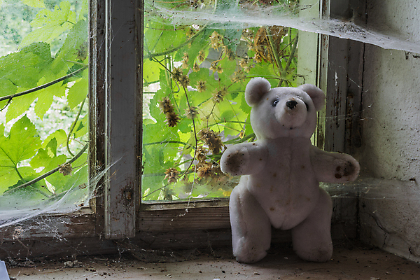 포토 JPG 해외이미지 벽 가구 부분 창문 사람없음 건물 장식 책 꽃병 방 탐험 램프 커튼 역사 상품 수집 버리기 묘사 오브젝트 부식 시설 시력 먼지 발견 곰팡이 구식 깨짐 떠남 무인 옛날 항목 스타일 해외포토 건축물 꽃 생활용품 컨셉 모션 조명 파일형식 이미지허브