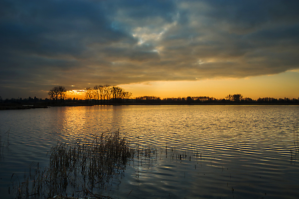 포토 JPG 해외이미지 구름 호수 백그라운드 오렌지 자연 하늘 갈대 풍경 사람없음 야외 물 파란색 빛 햇빛 뷰티 황혼 일몰 새벽 저녁 수평선 해외포토 자연요소 식물 컬러 과일 태양 노을 야간 생태계 파일형식 이미지허브
