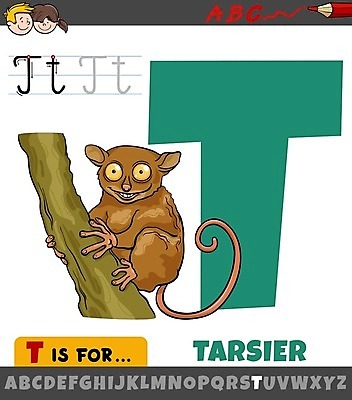 EPS 해외이미지 한마리 알파벳 영어 여자 교육 남자 얼굴 어린이 일러스트 색연필 영어교육 소년 타이포그라피 두명 초록색 T 안경원숭이 어린이만 해외일러스트 문자 1 컬러 학용품 사람 신체부위 원숭이 파일형식 벡터 이미지허브