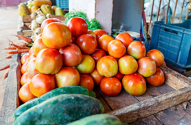 포토 JPG 해외이미지 전통 음식 백그라운드 농업 토마토 채소 과일 오이 건강 종류 서기 사람없음 상점 신선 시장 열대과일 유기농 날것 건강식 슈퍼마켓 매각 분양 줄서기 채식주의자 해외포토 웰빙 산업 모션 부동산 채식 파일형식 이미지허브