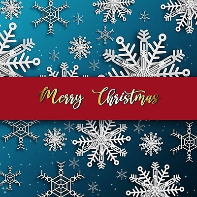 EPS 해외이미지 전통 배너 계절 행복 포스터 별 리본 백그라운드 컨셉 크리스마스 겨울 일러스트 캘리그라피 공 휴가 새로움 새해 귤 선물 이벤트 장식 초록색 상자 파티 축제 나뭇가지 축하 인사 소나무 신용카드 눈송이 황금 고급 12월 연도 심볼 엽서 초대 엘리먼트 레터링 해외일러스트 자연요소 나무 기념일 감정 컬러 과일 눈_날씨 금융 예절 날짜 편지 파일형식 벡터 이미지허브