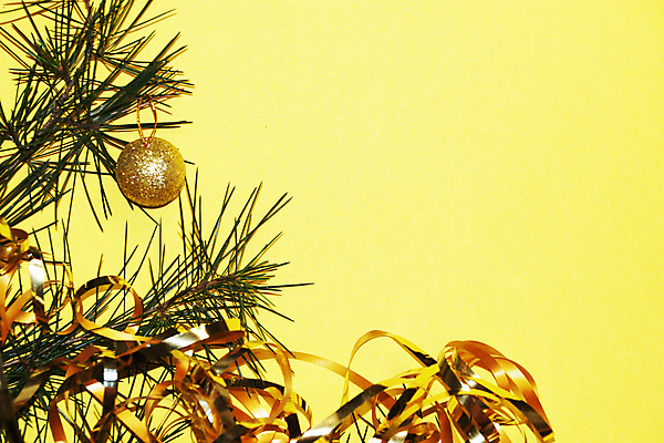 포토 JPG 해외이미지 나무 전통 계절 백그라운드 크리스마스장식 크리스마스 겨울 공 휴가 새로움 새해 크리스마스카드 매달리기 사람없음 목재 장식 초록색 빛 노란색 축제 흰색 나뭇가지 축하 소나무 신용카드 황금 연도 노란배경 여의주 가문비나무 카피스페이스 해외포토 식물 기념일 컬러 컨셉 재료 모션 카드_감사 금융 공백 파일형식 이미지허브