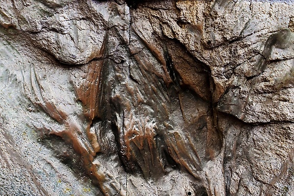 포토 JPG 해외이미지 나무 디자인 벽 백그라운드 패턴 건축양식 자연 유리 벽지 표면 사람없음 물 갈색 검은색 어둠 공백 회색 수확 거친 균열 닫기 떨어짐 묘사 질감 대리석 시멘트 그런지 석고 옛날 콘크리트 화강암 카피스페이스 해외포토 자연요소 식물 건축 컬러 컨셉 무늬 농업 재료 모션 재질 암석 생태계 파일형식 이미지허브