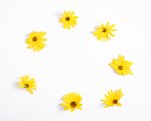 포토 JPG 해외이미지 꽃 프레임 사람없음 노란색 원형 투명 테두리 흰배경 해외포토 도형 식물 컬러 백그라운드 흰색 파일형식 이미지허브