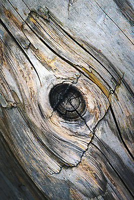 포토 JPG 해외이미지 나무 백그라운드 패턴 자연 표면 날씨 추상 건조 사람없음 목재 울타리 갈색 환경 손상 회색 흰색 거친 숲 버리기 묘사 부식 질감 매듭 잡동사니 내추럴 수목 썩음 옛날 해외포토 식물 컬러 컨셉 무늬 재료 모션 담장 생태계 파일형식 이미지허브