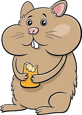 EPS 해외이미지 일러스트 들기 사람없음 먹이 햄스터 베이지색 해외일러스트 컬러 모션 반려동물 설치류 파일형식 벡터 이미지허브