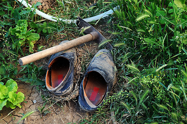 포토 JPG 해외이미지 직업 돈 비즈니스 노동자 손바닥 사람 사람없음 금융 동전 업무 가난 종업원 월급 거짓말 수입 해외포토 손 컨셉 경제 작업 재산 파일형식 이미지허브