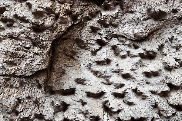 포토 JPG 해외이미지 디자인 종이 벽 백그라운드 패턴 건축양식 자연 벽지 표면 날씨 추상 바닥 미술 사람없음 내부 장식 빨간색 갈색 검은색 어둠 공백 회색 수확 흰색 거친 균열 묘사 질감 대리석 시멘트 내추럴 그런지 옛날 지질학 콘크리트 화강암 해외포토 교육 건축 컬러 무늬 농업 재료 모션 문화예술 암석 생태계 파일형식 이미지허브