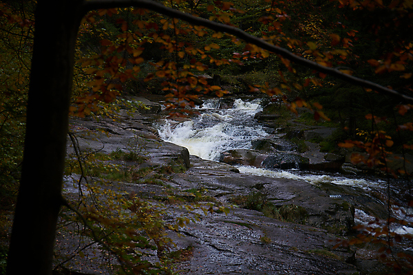포토 JPG 해외이미지 유럽 여행 잎 휴가 국립공원 사람없음 강 컬러풀 걷기 폭포 하이킹 탐험 장노출 체코 전나무 해외포토 나무 식물 공원 나라 컬러 모션 자연 레저 촬영기법 파일형식 이미지허브