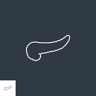 EPS 해외이미지 디자인 실루엣 신체 일러스트 해부 건강 미술 사람 내부 그래픽 픽토그램 약 오르간 계획 심볼 사인 유기농 생물학 클립 심플 윤곽 시스템 췌장 고립 엘리먼트 포도당 해외일러스트 웰빙 교육 컨셉 의학 문화예술 촬영기법 장기_의학 건반악기 파일형식 벡터 이미지허브