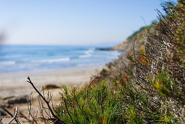 포토 JPG 해외이미지 식물 유럽 모래 바다 섬 여행 자연 하늘 휴가 휴식 건강 해변 사람없음 야외 초록색 물 하이킹 닫기 모래언덕 내추럴 발트해 치유 수평선 해외포토 자연요소 나라 컬러 컨셉 모션 레저 북유럽 언덕 생태계 파일형식 이미지허브
