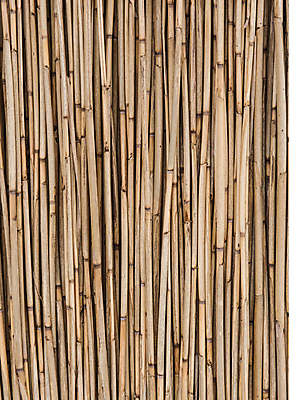 포토 JPG 해외이미지 전통 디자인 선 벽 백그라운드 잎 패턴 재료 자연 벽지 추상 바닥 건조 건강 미술 동양인 사람없음 목재 장식 울타리 줄무늬 수확 나뭇가지 막대기 대나무 에코 유기농 질감 나무껍질 밀짚 내추럴 그런지 옛날 직진 해외포토 나무 식물 웰빙 무늬 농업 문화예술 인종 담장 환경 껍질 짚 생태계 파일형식 이미지허브