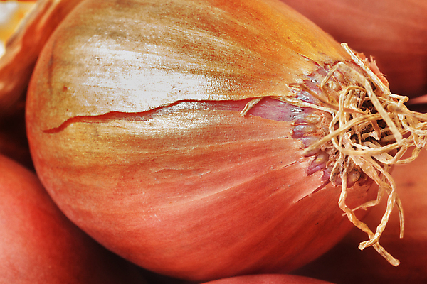 포토 JPG 해외이미지 스튜디오촬영 1 음식 백그라운드 농업 다이어트 채소 재료 전구 양파 건강 요리 사람없음 수확 신선 양념 조미료 닫기 달콤 맛 먹기 향신료 유기농 날것 향료 내추럴 숙성 샬롯 세련 비건 해외포토 웰빙 산업 컨셉 모션 실내 향기 냄새 채식주의자 향미료 파일형식 이미지허브