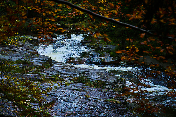 포토 JPG 해외이미지 유럽 여행 잎 휴가 국립공원 사람없음 강 컬러풀 걷기 폭포 하이킹 탐험 장노출 체코 전나무 해외포토 나무 식물 공원 나라 컬러 모션 자연 레저 촬영기법 파일형식 이미지허브