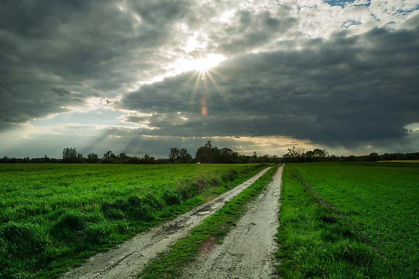 포토 JPG 해외이미지 식물 구름 계절 도로 길 여행 밭 자연 하늘 풍경 사람없음 초록색 여름 빛 햇빛 태양 농경지 맑음 봄 회색 광선 시골 땅 밀 먼지 천국 방법 수평선 해외포토 자연요소 컬러 농업 교통시설 날씨 곡류 농장 생태계 파일형식 이미지허브