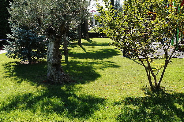 포토 JPG 해외이미지 나무 식물 계절 공원 길 여행 백그라운드 잎 자연 하늘 거리 잔디 사람없음 야외 목재 초록색 빛 컬러풀 햇빛 뷰티 환경 정원 맑음 봄 시골 숲 장면 내추럴 해외포토 공공시설 컬러 재료 날씨 태양 생태계 파일형식 이미지허브