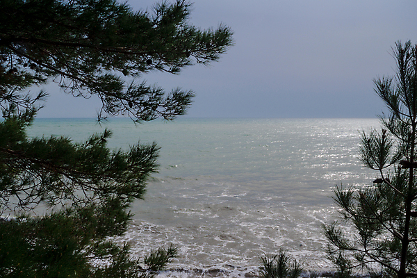 포토 JPG 해외이미지 나무 계절 공원 파도 바다 여행 백그라운드 자연 하늘 날씨 풍경 사람없음 야외 목재 초록색 물 여름 파란색 환경 바위 나뭇가지 소나무 숲 폭풍 내추럴 해외포토 자연요소 식물 공공시설 컬러 재료 돌_바위 생태계 파일형식 이미지허브