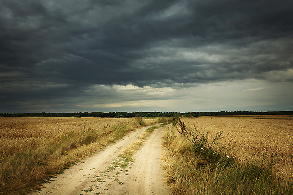 포토 JPG 해외이미지 구름 도로 길 모래 여행 밭 농업 자연 하늘 날씨 풍경 사람없음 야외 여름 모래사장 농장 농경지 노란색 어둠 시골 황금 낟알 시리얼 밀 먼지 방법 밭일 폭풍우 해외포토 자연요소 계절 산업 음식 바다 컬러 교통시설 곡류 비_날씨 자연재해 생태계 파일형식 이미지허브