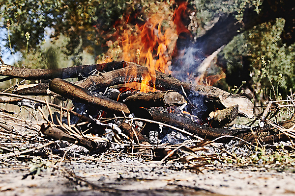 포토 JPG 해외이미지 디자인 음식 벽 백그라운드 겨울 오렌지 건축양식 자연 불 추상 불꽃 벽돌 주택 프레임 실내 육류 미술 사람없음 목재 장식 빛 농가 검은색 어둠 재활용 방 시골 뜨거움 저녁 위험 장작 자르기 묘사 화재 재 화상 해외포토 자연요소 나무 계절 건축 컬러 컨셉 무늬 과일 식재료 재료 모션 문화예술 내부 건물 농장 상처 야간 사건 친환경 생태계 파일형식 이미지허브