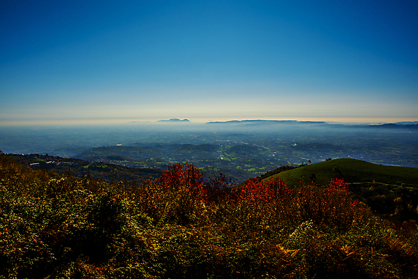 포토 JPG 해외이미지 나무 식물 계절 공원 백그라운드 잎 밭 오렌지 자연 하늘 산 파노라마 사람없음 야외 빨간색 빛 컬러풀 햇빛 태양 뷰티 노란색 환경 맑음 침묵 이탈리아 광선 시골 황금 숲 장면 내추럴 해외포토 자연요소 공공시설 유럽 컬러 농업 과일 날씨 촬영기법 소리 생태계 파일형식 이미지허브