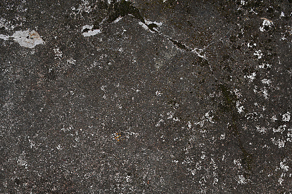 포토 JPG 해외이미지 벽 백그라운드 사람없음 균열 질감 시멘트 시멘트벽 해외포토 모션 파일형식 이미지허브