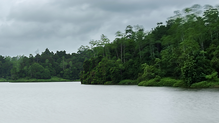포토 JPG 해외이미지 나무 공원 호수 여행 잎 자연 하늘 아침 날씨 산 사람없음 야외 목재 초록색 파란색 강 햇빛 반사 평화 환경 맑음 침묵 봄 저수지 개울 숲 장면 지역 자원 내추럴 민물 파라다이스 해외포토 주간 식물 계절 공공시설 컬러 컨셉 재료 태양 소리 생태계 파일형식 이미지허브