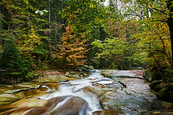 포토 JPG 해외이미지 유럽 여행 잎 휴가 국립공원 사람없음 강 컬러풀 걷기 폭포 하이킹 탐험 장노출 체코 전나무 해외포토 나무 식물 공원 나라 컬러 모션 자연 레저 촬영기법 파일형식 이미지허브