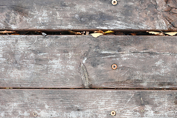 포토 JPG 해외이미지 벽 실내 사람없음 목재 질감 나무바닥 나무벽 나무배경 해외포토 나무 백그라운드 재료 바닥 내부 파일형식 이미지허브