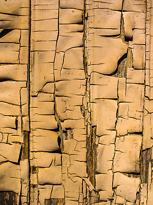 포토 JPG 해외이미지 디자인 외관 벽 백그라운드 패턴 건축양식 날씨 추상 미술 사람없음 건물 목재 갈색 어둠 페인트 공백 수확 골동품 껍질 거친 역사 균열 닫기 널 낟알 질감 내추럴 외양간 그런지 깨짐 엘리먼트 옛날 노화 효과 해외포토 나무 건축물 건축 컬러 컨셉 무늬 농업 재료 모션 문화예술 파일형식 이미지허브