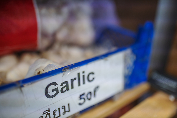 포토 JPG 해외이미지 잡화 아시아 종이 음식 조각 백그라운드 잎 농업 채소 재료 텍스트 부분 태국 자연 파슬리 건강 마늘 요리 사람없음 파란색 쌓기 수확 흰색 신선 양념 조미료 그룹 맛 상품 플라스틱 허브 향신료 오브젝트 유기농 매움 날것 뿌리 향료 향 내추럴 채식주의자 해외포토 식물 웰빙 나라 산업 컬러 컨셉 모션 재질 생태계 채식 향기 냄새 향미료 파일형식 이미지허브