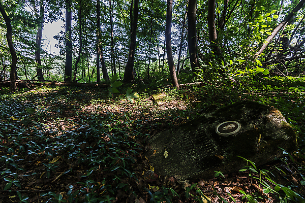 포토 JPG 해외이미지 꽃 기독교 종교 지구 백그라운드 십자가 부활절 사람없음 목재 조각상 검은색 성경 바위 기도 죽음 예수 영혼 목사 심볼 애도 신성 땅파기 신앙심 옛날 장례식 오싹 해외포토 나무 식물 기념일 컬러 재료 종교용품 조형물 돌_바위 신_종교 성직자 파일형식 이미지허브