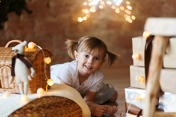 포토 JPG 해외이미지 나무 백인 드레스 계절 여자 행복 어린이 백그라운드 크리스마스 겨울 휴가 전등 새로움 주택 실내 선물 한명 미소 사람 소녀 내부 장식 선물상자 상자 화환 놀람 침대 축하 잡기 오픈 야간 12월 기적 연도 해피뉴이어 마법 해외포토 자연요소 서양인 식물 1 옷 기념일 꽃 감정 가구 컨셉 모션 조명 표정 건물 새해인사 날짜 파일형식 이미지허브
