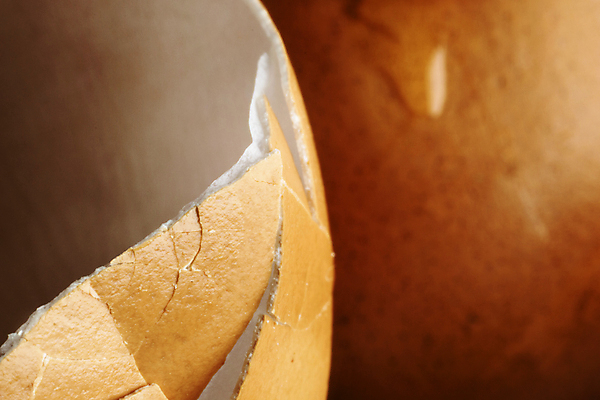 포토 JPG 해외이미지 스튜디오촬영 음식 백그라운드 재료 부분 자연 건강 사람없음 갈색 계란 껍질 흰색 신선 오픈 맛 떨어짐 아침식사 보호 상품 자르기 유기농 날것 내추럴 고립 깨짐 단백질 생식 취급주의 해외포토 웰빙 컬러 컨셉 모션 실내 경고 알 식사 생태계 영양소 파일형식 이미지허브