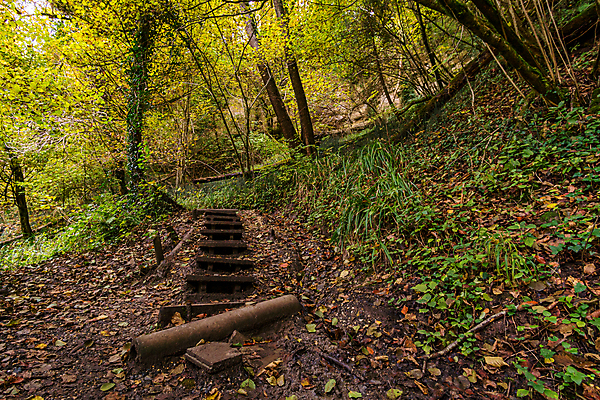 포토 JPG 해외이미지 호수 여행 잎 자연 휴가 휴식 사람없음 야외 물 환경 골짜기 맑음 산책 트래킹 폭포 하이킹 흐름 에너지 물방울 시골 개울 보호 편안함 평형 해외포토 자연요소 식물 컨셉 레저 날씨 강 수영 감각 생태계 파일형식 이미지허브