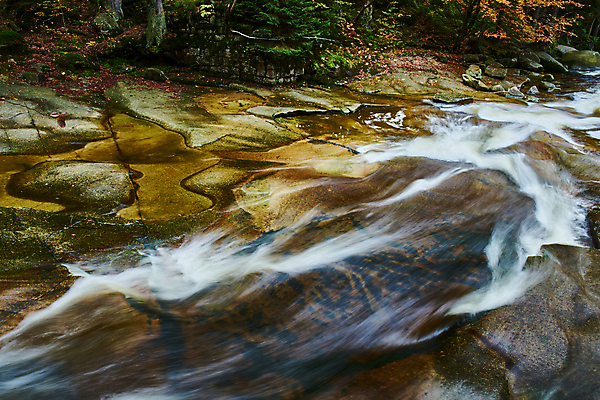 포토 JPG 해외이미지 유럽 여행 잎 휴가 국립공원 사람없음 강 컬러풀 걷기 폭포 하이킹 탐험 장노출 체코 전나무 해외포토 나무 식물 공원 나라 컬러 모션 자연 레저 촬영기법 파일형식 이미지허브