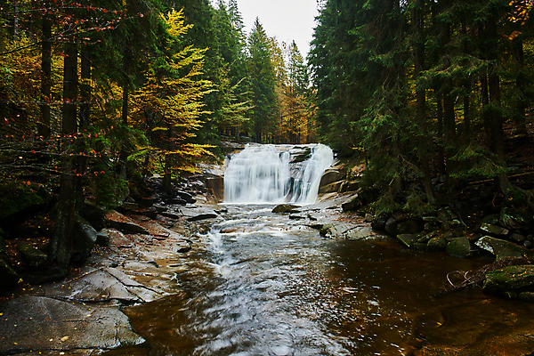 포토 JPG 해외이미지 유럽 여행 잎 휴가 국립공원 사람없음 강 컬러풀 걷기 폭포 하이킹 탐험 장노출 체코 전나무 해외포토 나무 식물 공원 나라 컬러 모션 자연 레저 촬영기법 파일형식 이미지허브