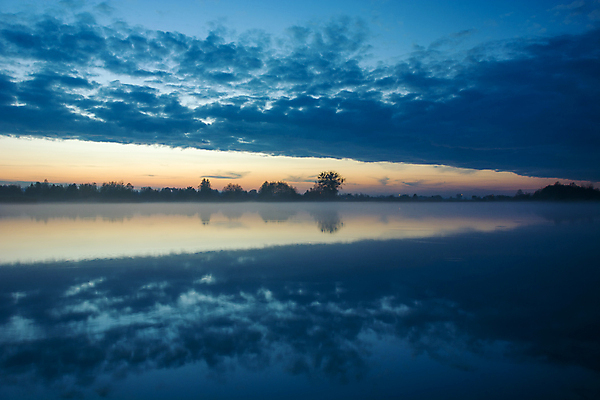 포토 JPG 해외이미지 나무 호수 여행 자연 하늘 아침 사람없음 물 파란색 강 반사 일출 황혼 일몰 거울 안개 저녁 뿌연 해외포토 주간 자연요소 식물 컬러 날씨 노을 야간 생태계 파일형식 이미지허브