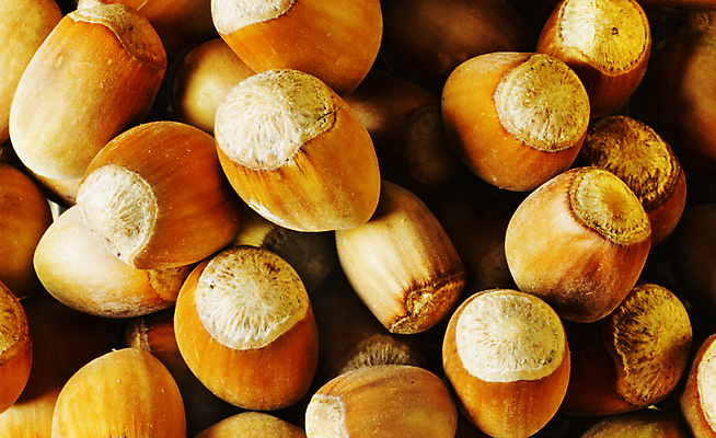 포토 JPG 해외이미지 스튜디오촬영 계절 음식 백그라운드 농업 다이어트 과일 재료 씨앗 사람없음 뷰티 쌓기 견과류 껍질 신선 원형 그룹 닫기 맛 유기농 질감 날것 흙더미 건강식 내추럴 개암나무 단백질 숙성 식용 채식주의자 많음 개암 비건 해외포토 도형 나무 식물 웰빙 열매 산업 컨셉 모션 실내 건강 흙 채식 영양소 파일형식 더미 이미지허브