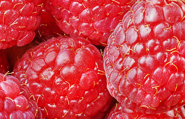 포토 JPG 해외이미지 스튜디오촬영 음식 백그라운드 다이어트 과일 재료 사람없음 수확 신선 원형 그룹 달콤 맛 인스턴트 작음 먹기 상쾌 유기농 질감 날것 산딸기 흙더미 건강식 내추럴 숙성 식용 정물화 채식주의자 많음 해외포토 도형 웰빙 감정 컨셉 농업 모션 실내 건강 흙 크기 그림 채식 파일형식 더미 이미지허브