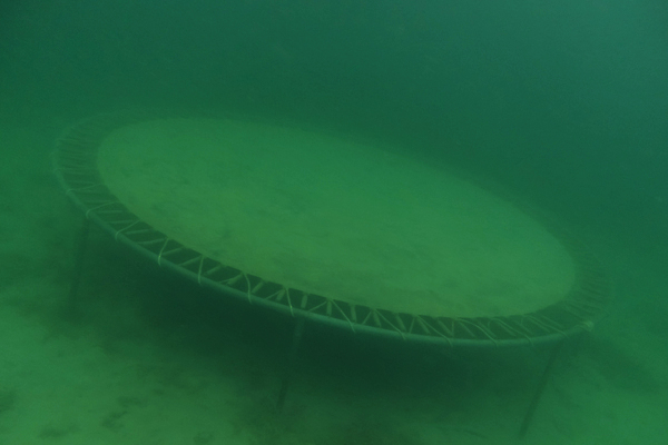 포토 JPG 해외이미지 동물 호수 야생동물 파도 바다 여행 자연 휴가 휴식 건강 이집트 어류 취미 사람없음 물 여름 파란색 컬러풀 태양 뷰티 환경 꿈 산호 잠수부 호흡 다이빙 암초 산소 깊이 땅바닥 이국적 침몰 해외포토 자연요소 계절 컬러 컨셉 아프리카 바닥 수영 수중동물 원소 자포동물 전문직 생태계 수중스포츠 파일형식 이미지허브