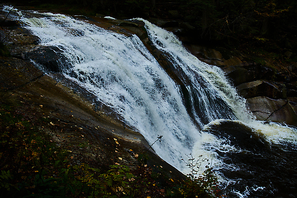 포토 JPG 해외이미지 유럽 여행 잎 휴가 국립공원 사람없음 강 컬러풀 걷기 폭포 하이킹 탐험 가을 장노출 체코 전나무 해외포토 나무 식물 계절 공원 나라 컬러 모션 자연 레저 촬영기법 파일형식 이미지허브