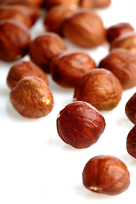 포토 JPG 해외이미지 실내 사람없음 아웃포커스 견과류 흰배경 헤이즐넛 해외포토 백그라운드 촬영기법 내부 흰색 파일형식 이미지허브