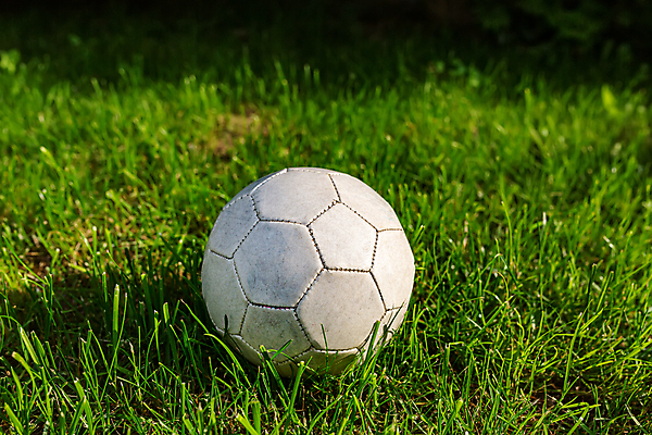 포토 JPG 해외이미지 1 디자인 선 스포츠 백그라운드 패턴 밭 축구공 공 자연 놀이 바닥 잔디 사람없음 야외 컵 초록색 축구 경쟁 경기장 장비 게임 흰색 놀이터 가죽 심볼 오브젝트 만족 싱글 지역 내추럴 골 땅바닥 파종 해외포토 식물 식기 감정 컬러 컨셉 무늬 농업 축구용품 스포츠시설 구기 농사 생태계 파일형식 이미지허브