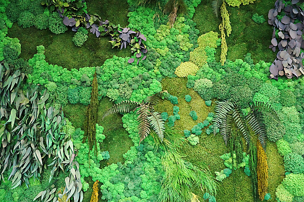 포토 JPG 해외이미지 나무 식물 꽃 벽 백그라운드 잎 패턴 자연 프레임 실내 이끼 사람없음 야외 내부 장식 세로 초록색 여름 빛 환경 정원 나뭇가지 신선 판넬 숲 그림 에코 질감 조경 내추럴 구성 이국적 해외포토 계절 컬러 무늬 생태계 파일형식 이미지허브