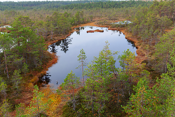 포토 JPG 해외이미지 나무 공원 유럽 호수 여행 자국 자연 하늘 풍경 사람없음 야외 목재 초록색 물 여름 파란색 걷기 환경 하이킹 숲 내추럴 변소 에스토니아 전국 해외포토 자연요소 식물 계절 공공시설 나라 컬러 재료 모션 레저 생태계 파일형식 이미지허브