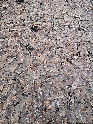 포토 JPG 해외이미지 디자인 외관 산업 벽 백그라운드 패턴 건축양식 자연 벽지 표면 날씨 추상 바닥 사람없음 내부 장식 초록색 컬러풀 검은색 회색 수확 도자기 타일 묘사 질감 대리석 먼지 판 내추럴 옛날 화강암 해외포토 건축 컬러 무늬 농업 재료 암석 생태계 파일형식 이미지허브