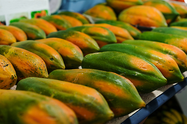 포토 JPG 해외이미지 식물 잡화 아시아 음식 백그라운드 농업 다이어트 채소 오렌지 과일 재료 자연 디저트 열대 건강 사람없음 초록색 컬러풀 농장 노란색 정원 당근 수확 흰색 신선 그룹 시장 달콤 맛 오브젝트 유기농 날것 내추럴 숙성 이국적 채식주의자 파파야 해외포토 웰빙 나라 산업 컬러 컨셉 뿌리채소 열대과일 생태계 채식 파일형식 이미지허브