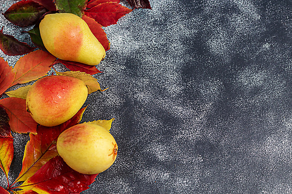 포토 JPG 해외이미지 식물 종이 음식 빵 컨셉 다이어트 과일 비즈니스 재료 유리 선반 관리 씨앗 사람없음 샐러드 흐름 견과류 신선 보호 질병 낟알 컨테이너 시리얼 철 서비스 유기농 감염 땅콩 호두 깨 토핑 아몬드 단백질 아마 오메가 위생관리 헤이즐넛 해외포토 웰빙 꽃 산업 가구 식재료 의학 재질 건강 조미료 영양소 파일형식 이미지허브