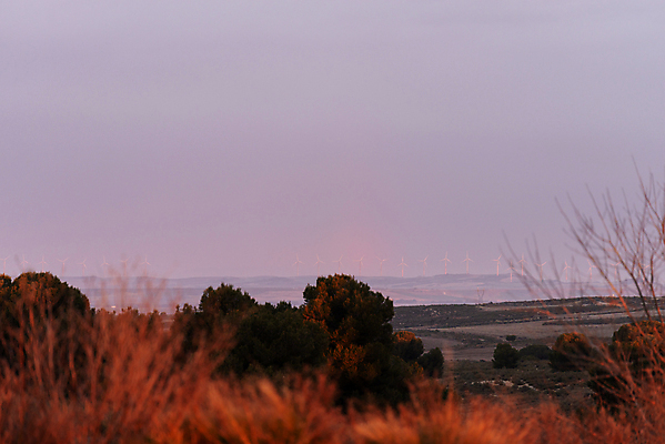 포토 JPG 해외이미지 주간 실루엣 농업 하늘 풍경 사람없음 야외 농장 환경 힘 황혼 일몰 재활용 풍차 에너지 시골 프로펠러 줄서기 해외포토 자연요소 산업 모션 촬영기법 노을 친환경 파일형식 이미지허브
