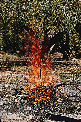 포토 JPG 해외이미지 디자인 음식 벽 백그라운드 겨울 오렌지 건축양식 자연 불 추상 불꽃 벽돌 주택 프레임 실내 육류 미술 사람없음 목재 장식 빛 농가 검은색 어둠 재활용 방 시골 뜨거움 저녁 위험 장작 자르기 묘사 화재 재 화상 해외포토 자연요소 나무 계절 건축 컬러 컨셉 무늬 과일 식재료 재료 모션 문화예술 내부 건물 농장 상처 야간 사건 친환경 생태계 파일형식 이미지허브